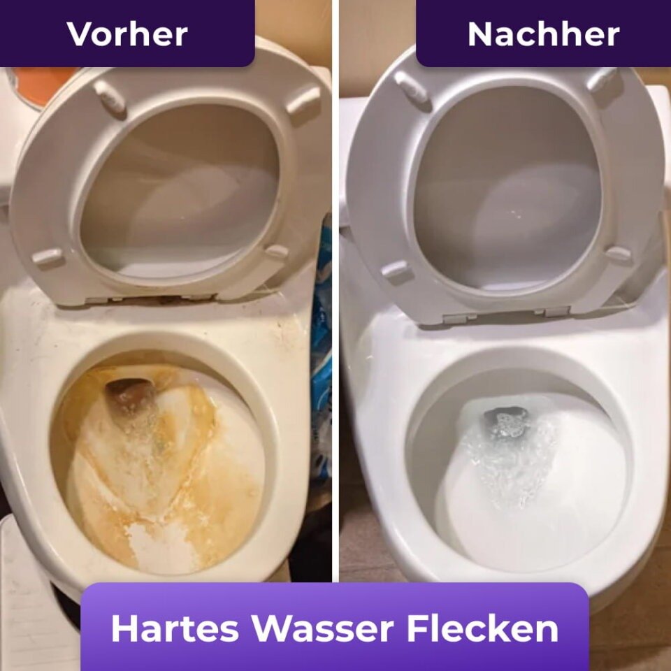 Bakterien